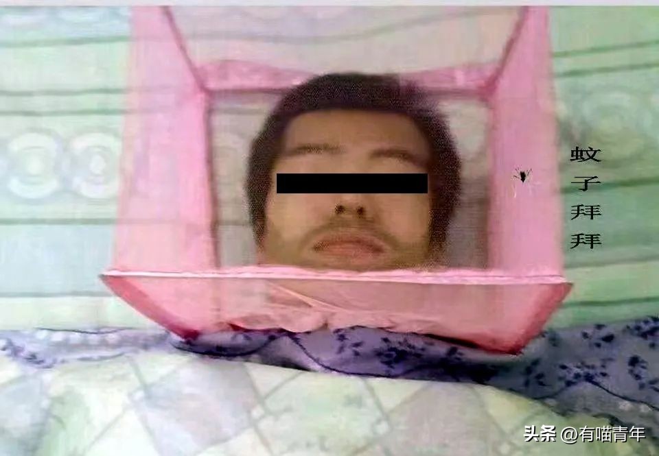 养猫不能放蟑螂药怎么办,养猫不能用的驱蚊方法