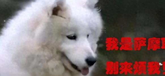 那些年的毁三观剧情吐槽,盘点那些毁掉三观的剧