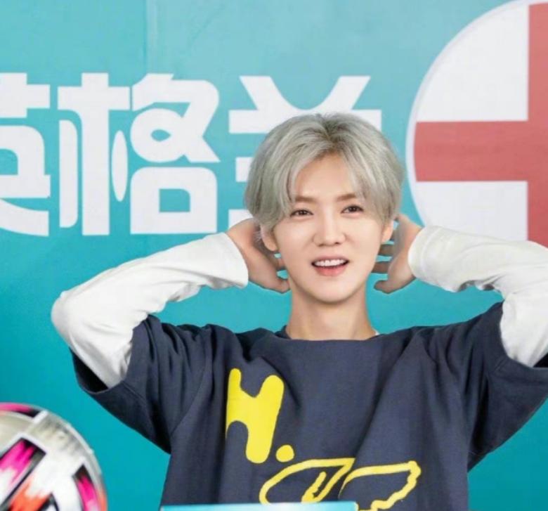 鹿晗世勋庆祝手势,世界杯冠军之夜鹿晗解说