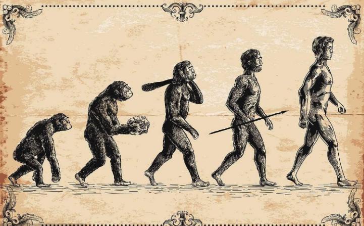 人兽真能杂交？日本批准“人兽杂交嵌合体试验”，福音还是灾难？