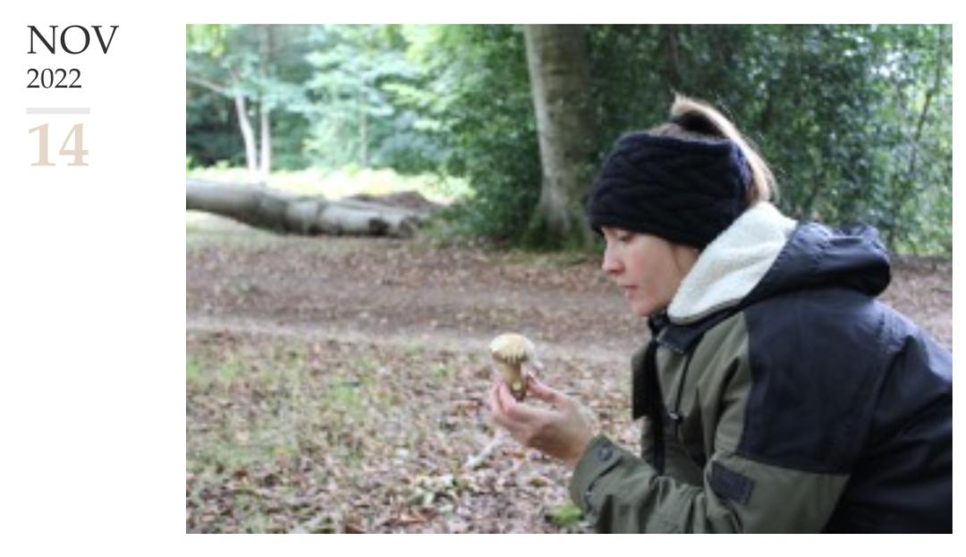 洗米华因为什么被批准逮捕,洗米华被批捕的原因是什么