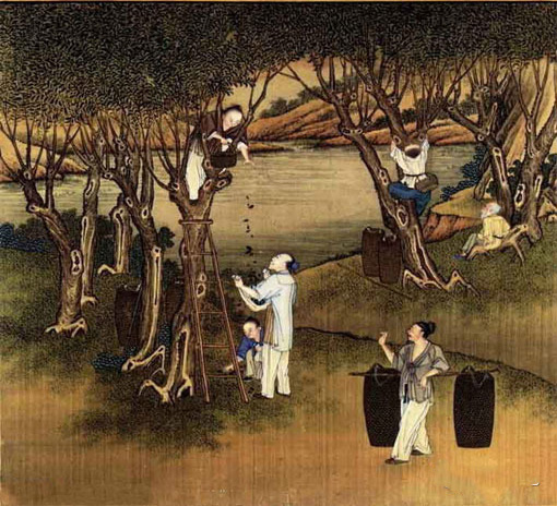 蓟州话方言视频,蓟州说的方言