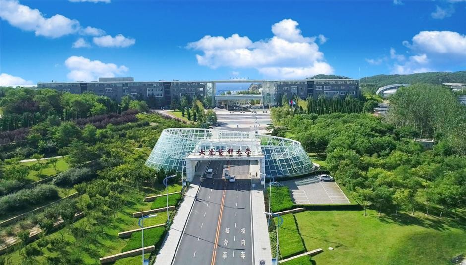 突出贡献！这一表彰在成都揭晓，大连三甲医院一“硬核”科室捧回大奖