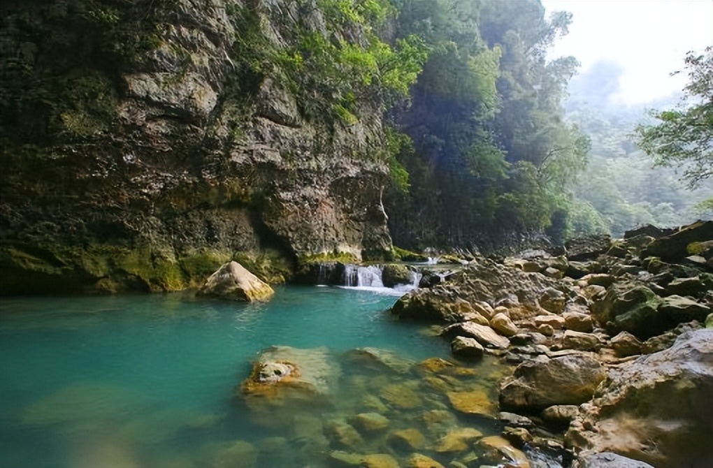 宸濊埅瑙佽瘉濂囪抗,宸濊涔嬫梾