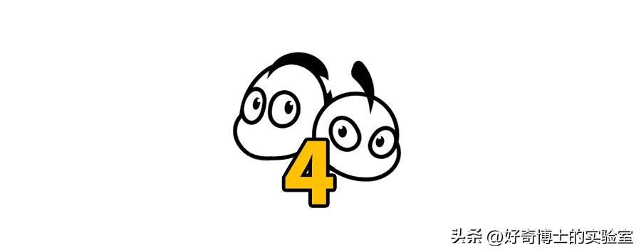 沉浸式体验出殡,详细观察遗体火化