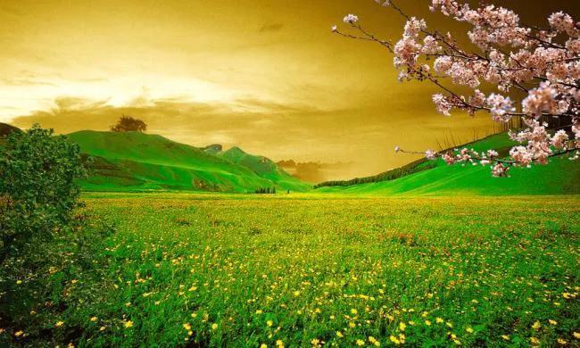 古诗春日朗诵视频,春日古诗作品欣赏