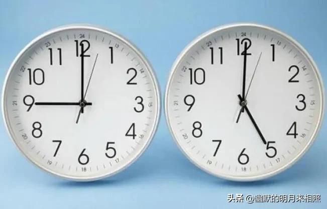 种西瓜去打工挣钱吗,90后回村创业种西瓜