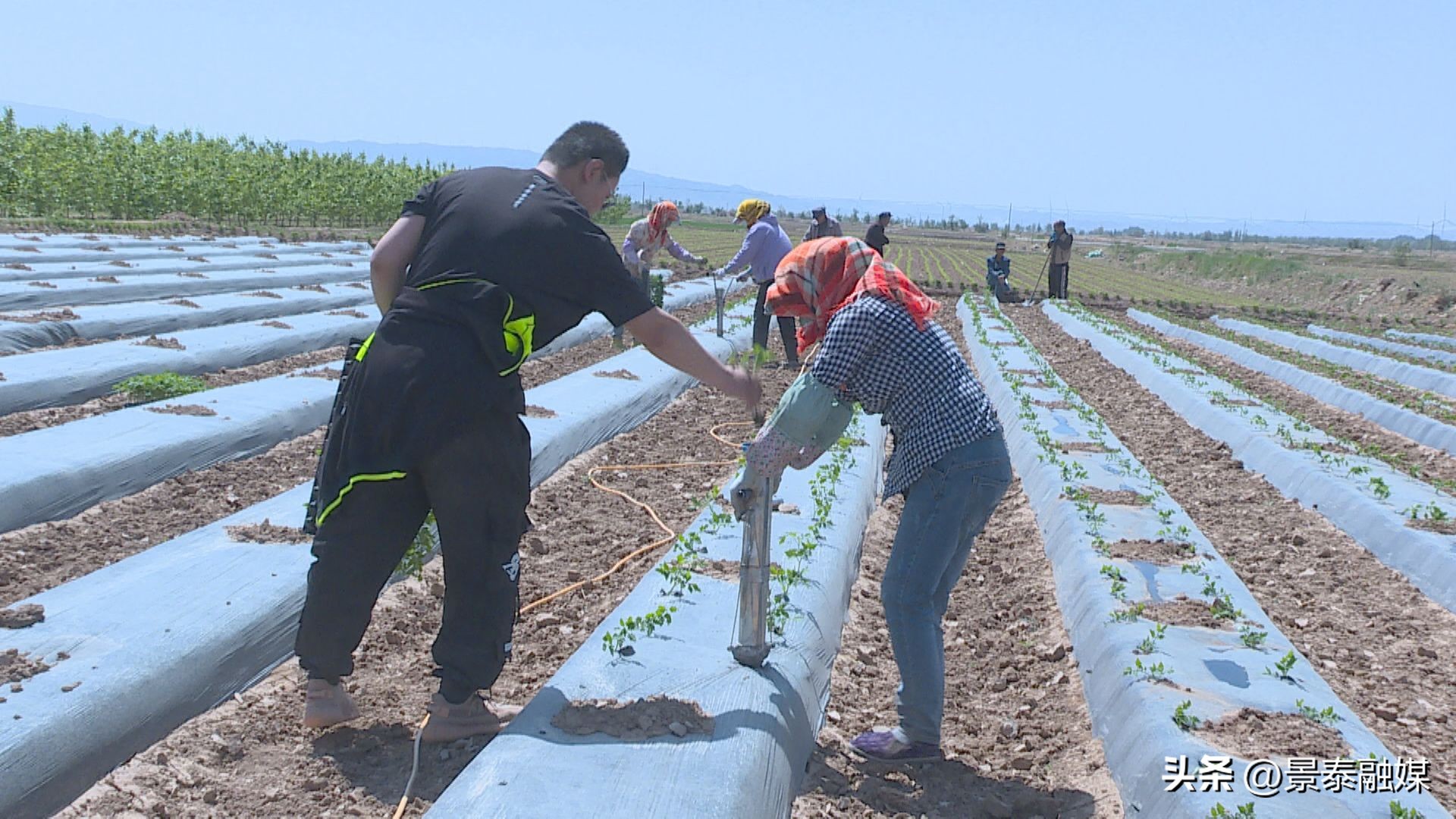 【走进乡村看振兴】喜泉镇新庄村：携手振兴之路共建美丽乡村