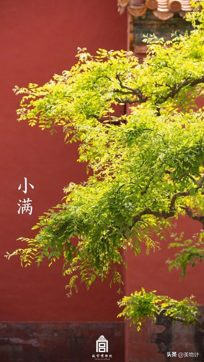 五月暮春的诗句,五月暮春四月仲春