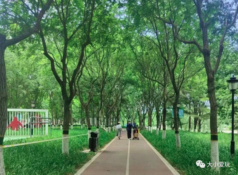 没想到帝都还有这么多各具特色的运动公园！骑行、足球、泵道……