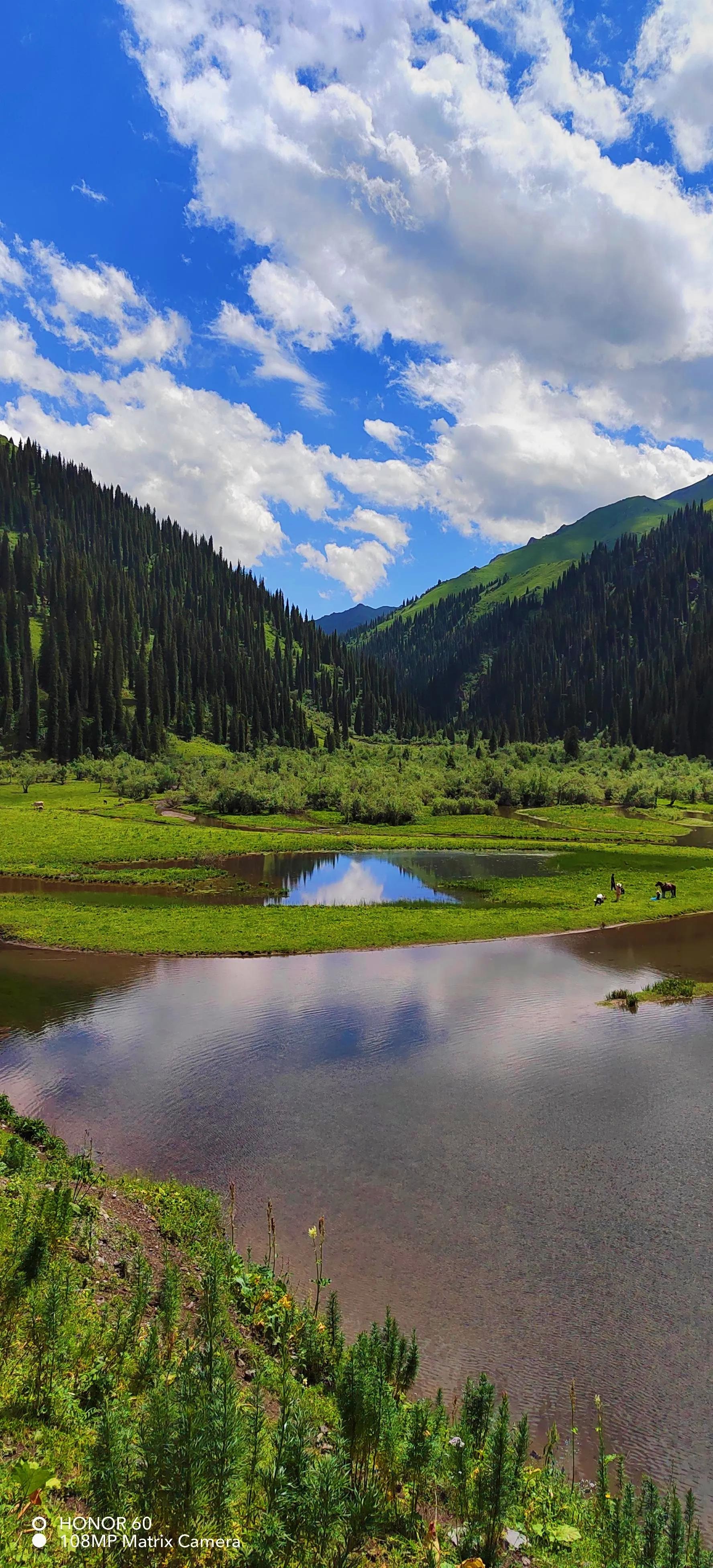 穿越森林探险视频,穿越森林探险之旅