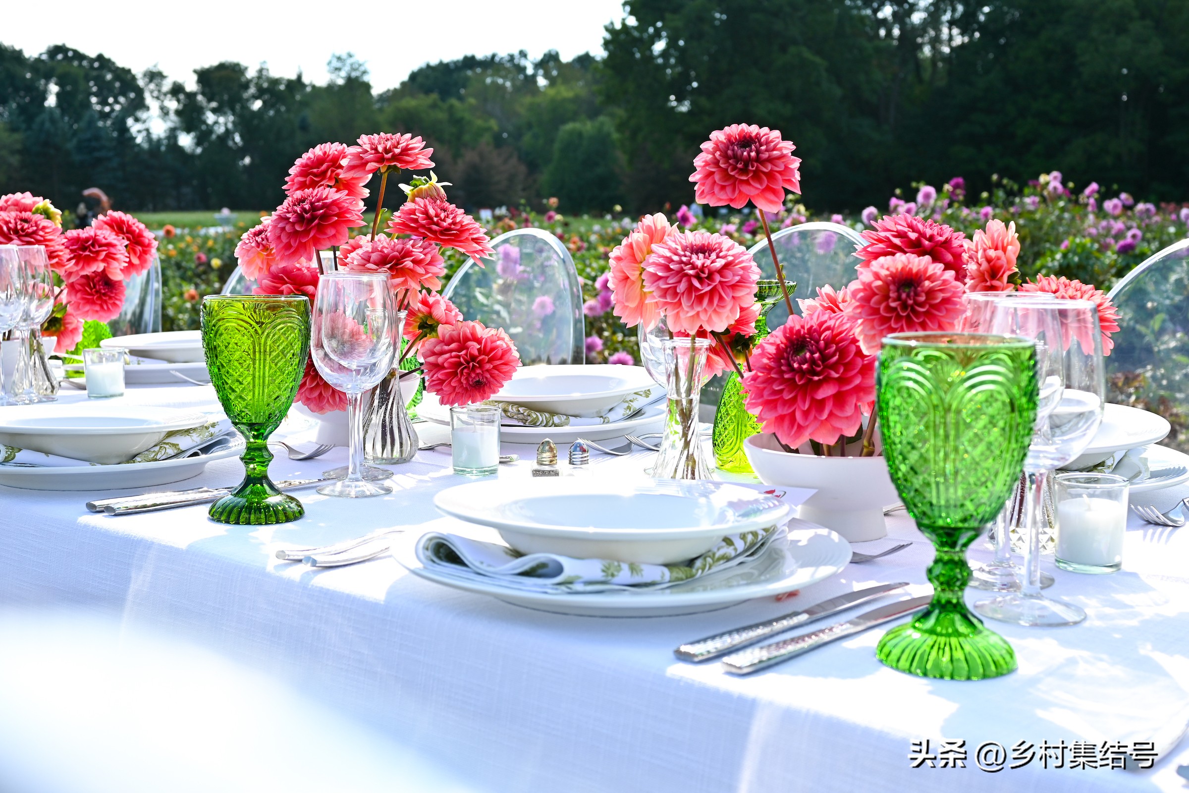 美国夏日梦幻农场：以大丽花为主题的鲜花园艺农场，如梦如画！