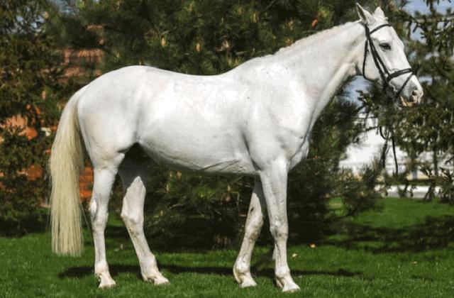 3种简单高效的ps制作立体字方法,ps制作三原色教程