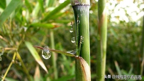 焦作大自然风景,焦作市文化圣地有哪些