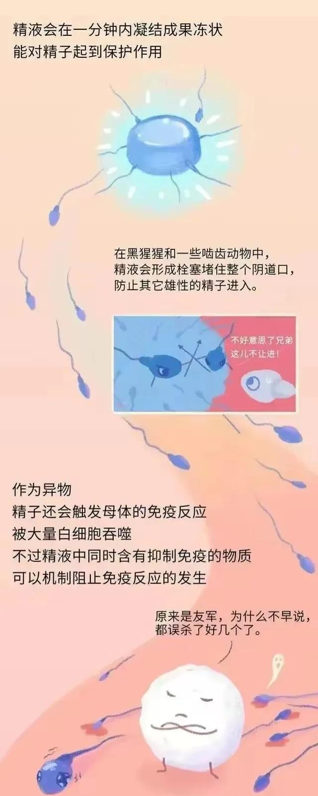 绮惧瓙杩涘叆浜轰綋24灏忔椂鍙樺寲,绮惧瓙杩涘叆浜轰綋1灏忔椂鍙樺寲