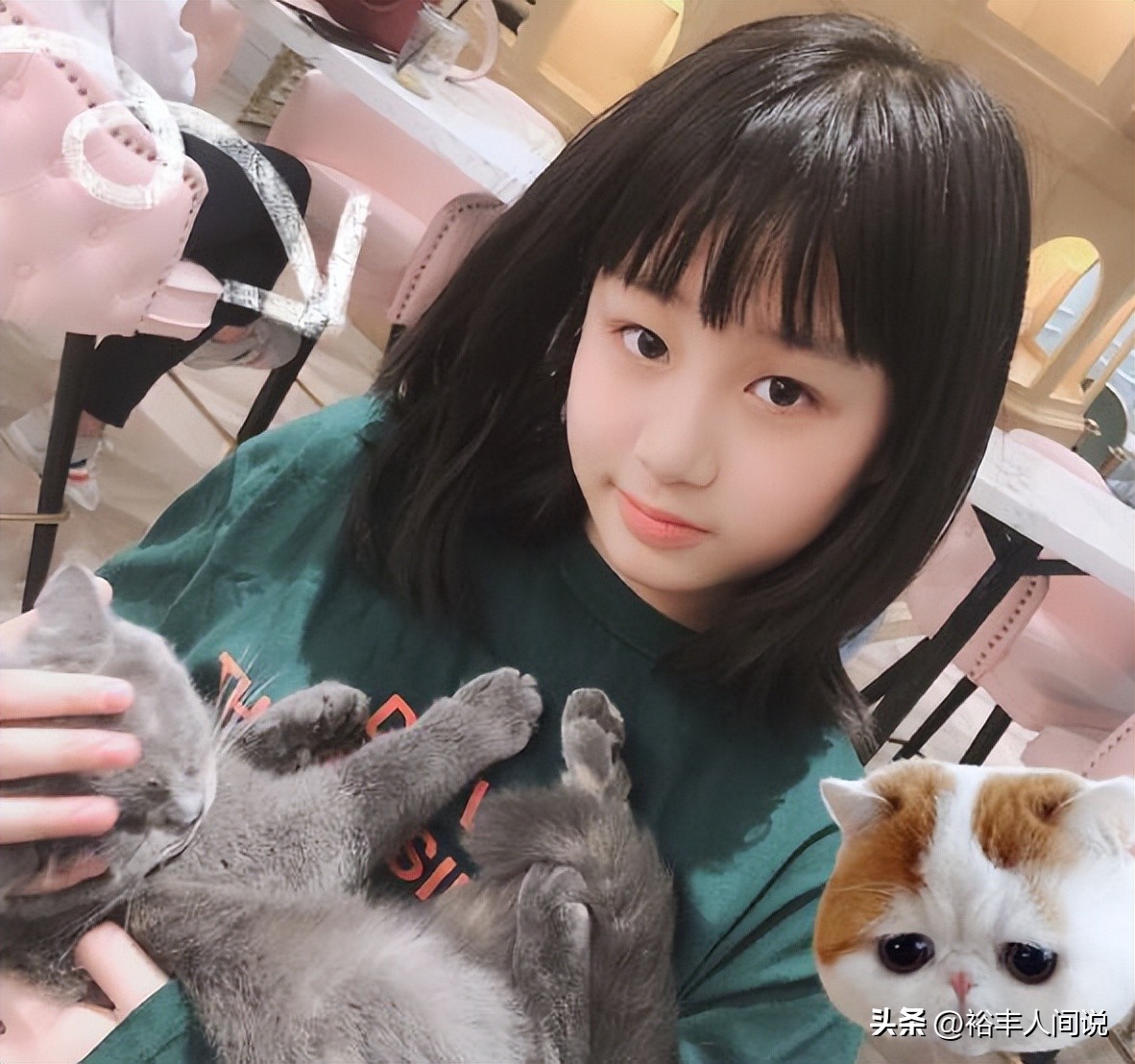 吴启华深圳湾1号,港星吴启华深圳买房