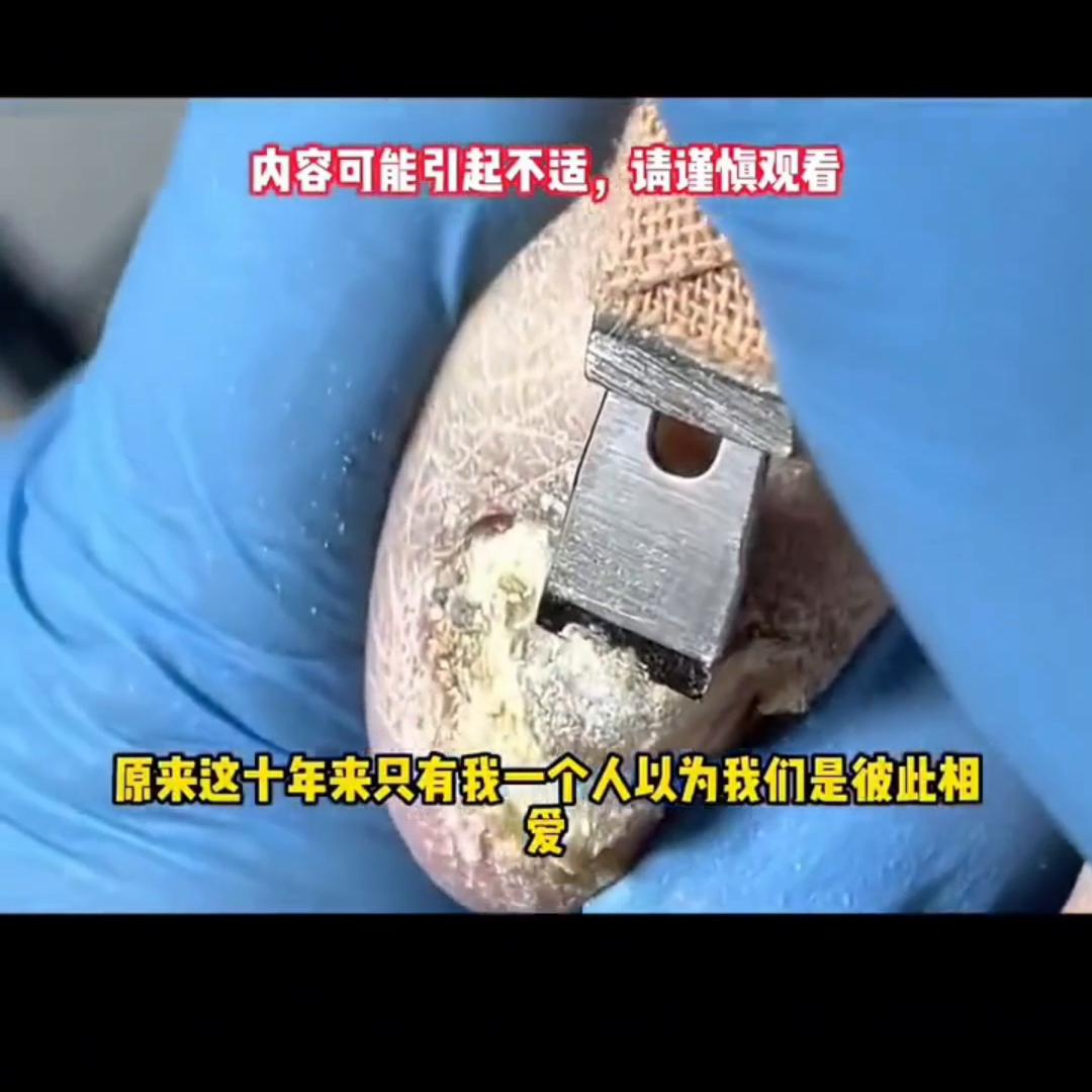 抖音首页搜小程序故事会,抖音首页搜索故事会小程序