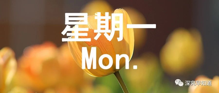 每日资讯新闻简报5月19日,新闻早报每天三分钟知晓天下事