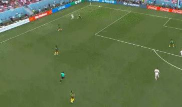 2022世界杯塞尔维亚上半场比分,塞尔维亚晋级世界杯集锦