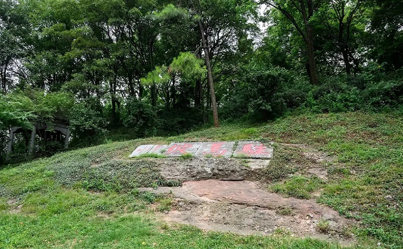 南京免费景点排行榜前十名,南京旅游年卡免费景点一览表