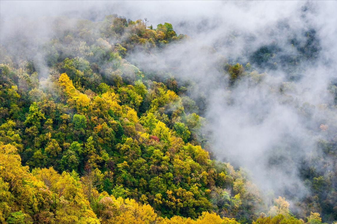 李商隐的夜雨寄北表达什么,唐诗三百首夜雨寄北李商隐