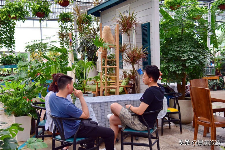 一壶围炉煮茶月引客上万人，佛山旺林艺术花园将网红项目变现