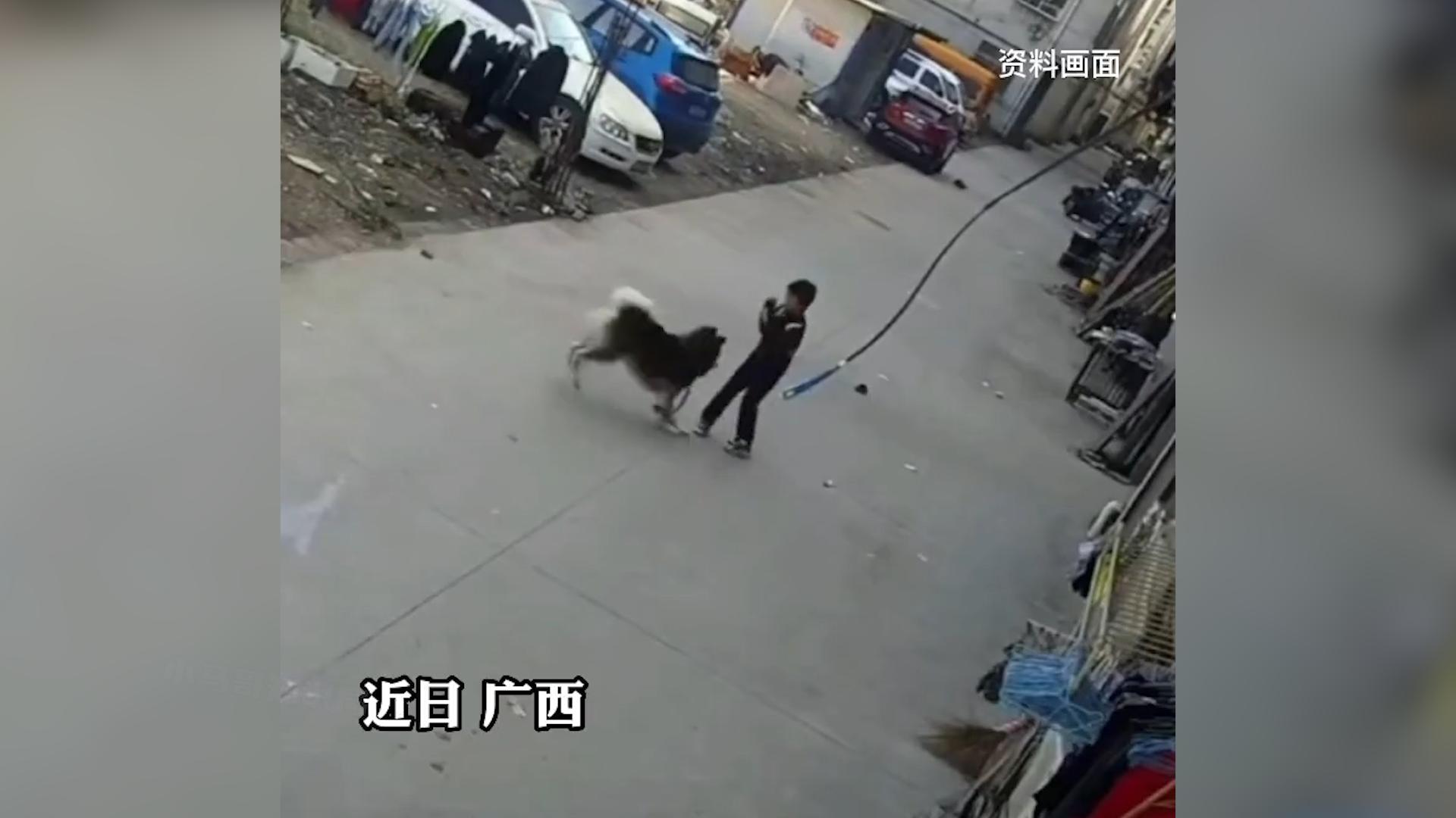 1年花掉30亿？给狗打疫苗能阻断狂犬病，为什么我们都给人打？