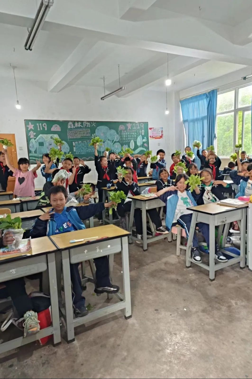 绿美太邑蔬香校园