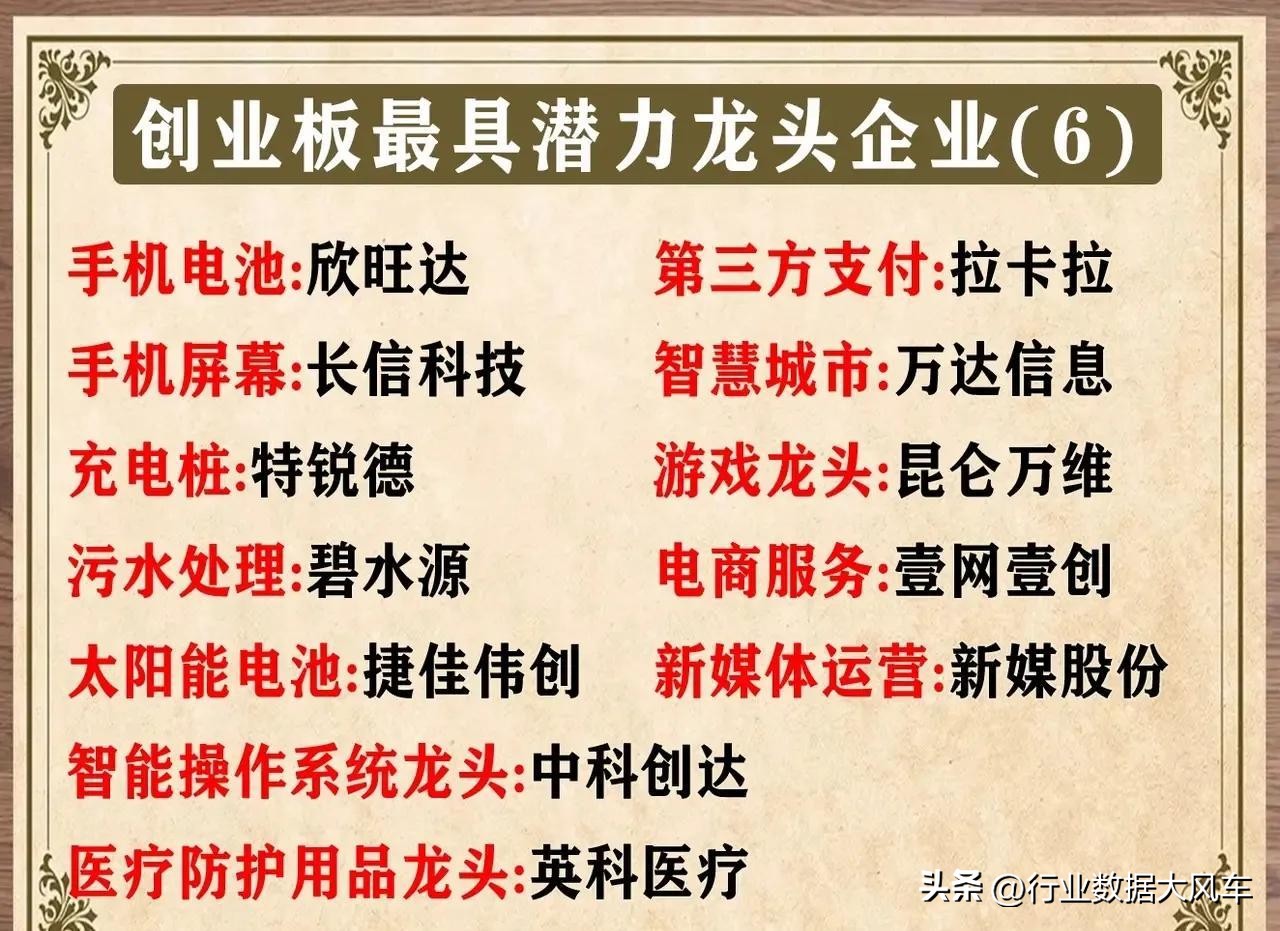 创业板龙头股票有哪些,今天创业板的十大龙头股