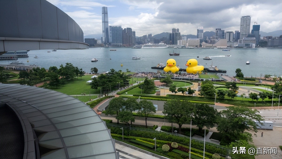 醒目！大黄鸭“游”进维港丨香港一日