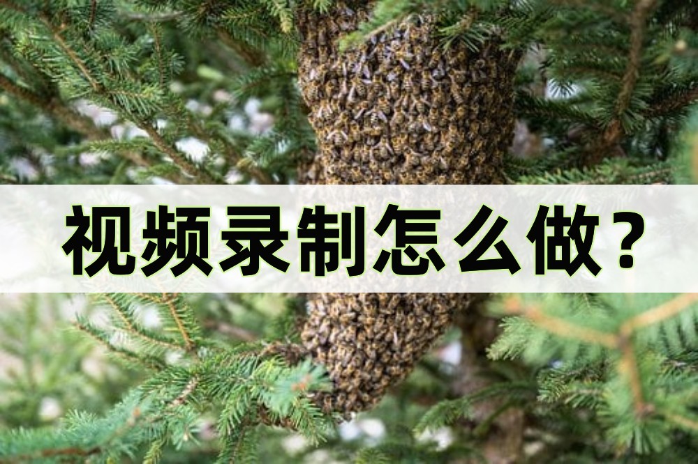 视频怎么做录制框,手工视频怎么录制教程