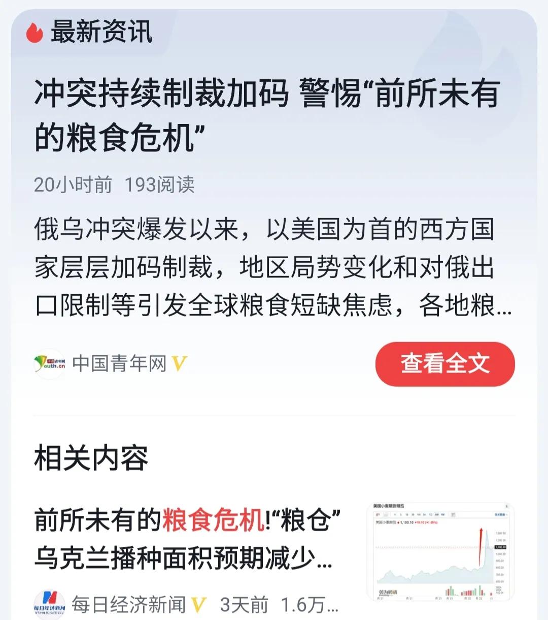 国际粮食股市走势分析最新,国际粮食市场动荡中国从容应对