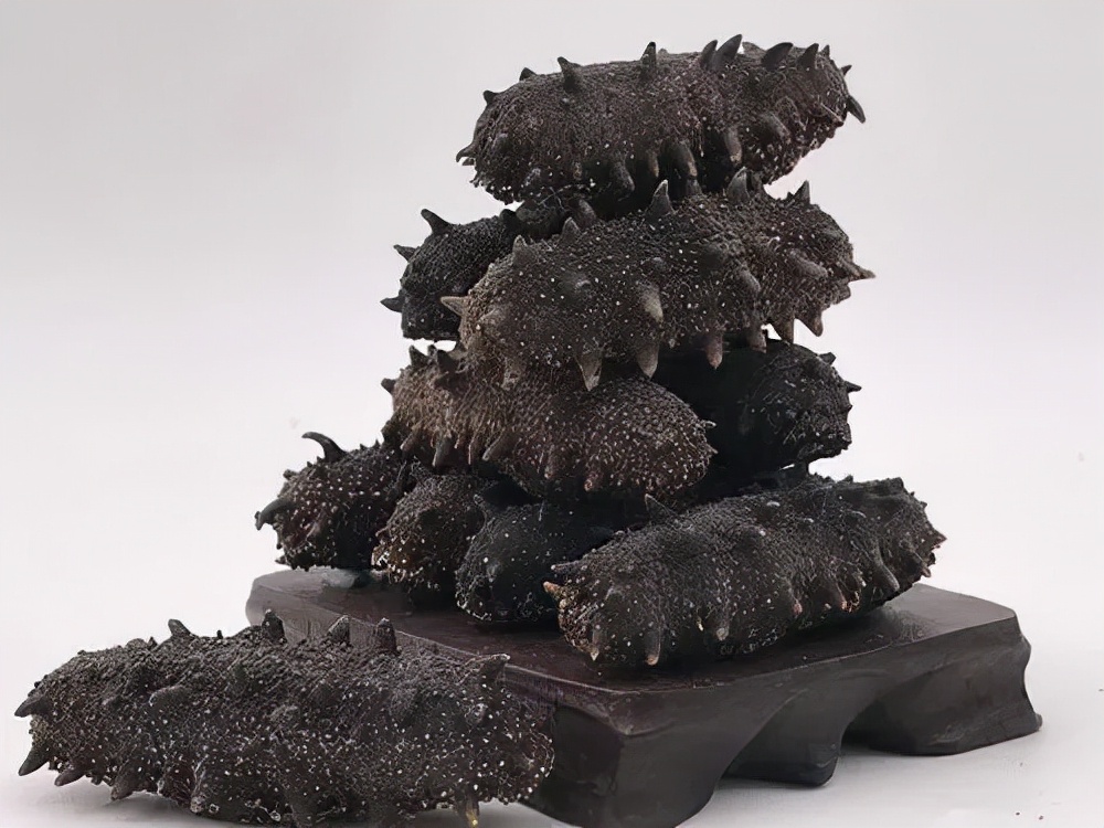 怎样鉴别冻干海参的优劣,怎样辨别海参的优劣