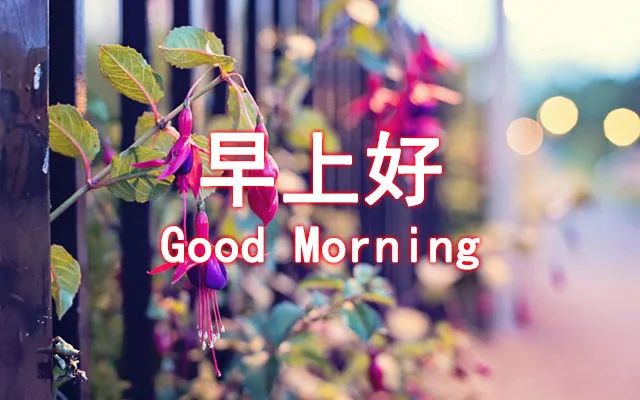 2021年新版问候大家早安图片带字,2022年最近早安问候图片