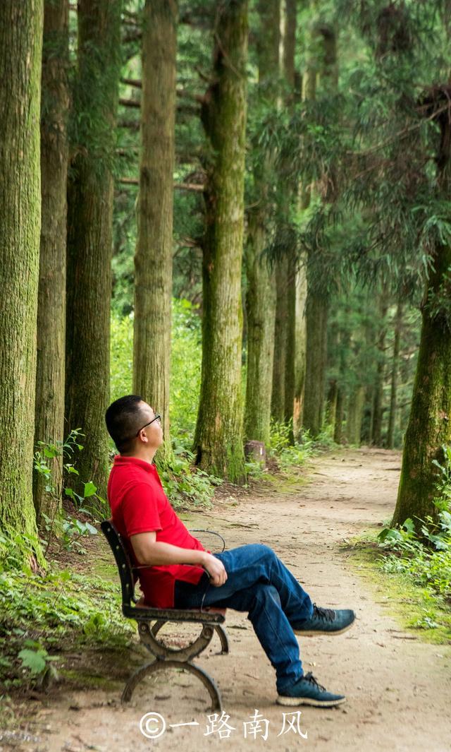 夏天避暑最佳旅游地庐山,江西庐山4天3夜旅游攻略