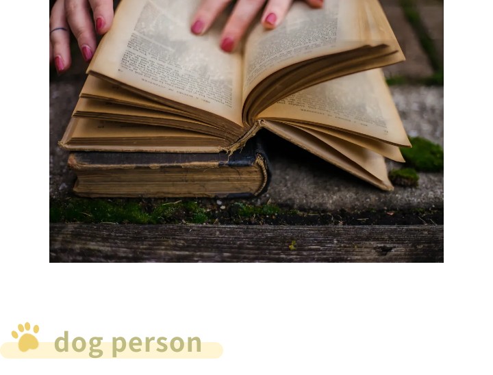 火爆外网的魔性“车座子狗”，究竟是什么梗？