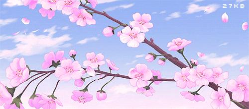 女陪护（40）老男人死活不让女陪护给自己洗澡