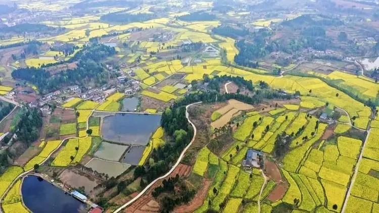 中南半岛各国立体地形,中南半岛和东南亚分布图