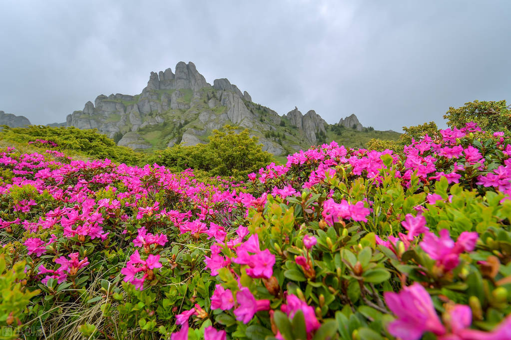 如何和对方聊得舒服,跟女孩子聊天如何引起对方的兴趣