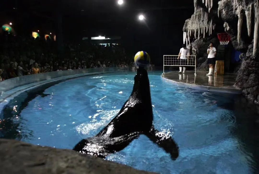 郑州春节亲子游十大必去景点,五一郑州周边游玩推荐景点