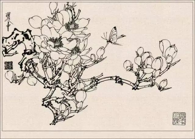 工笔草虫白描王道中,写意花鸟画草虫绘画过程分享