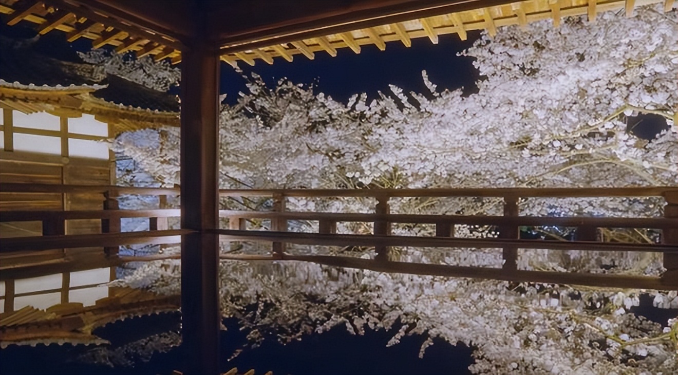 2023日本樱花观赏时间表,日本樱花花期2020