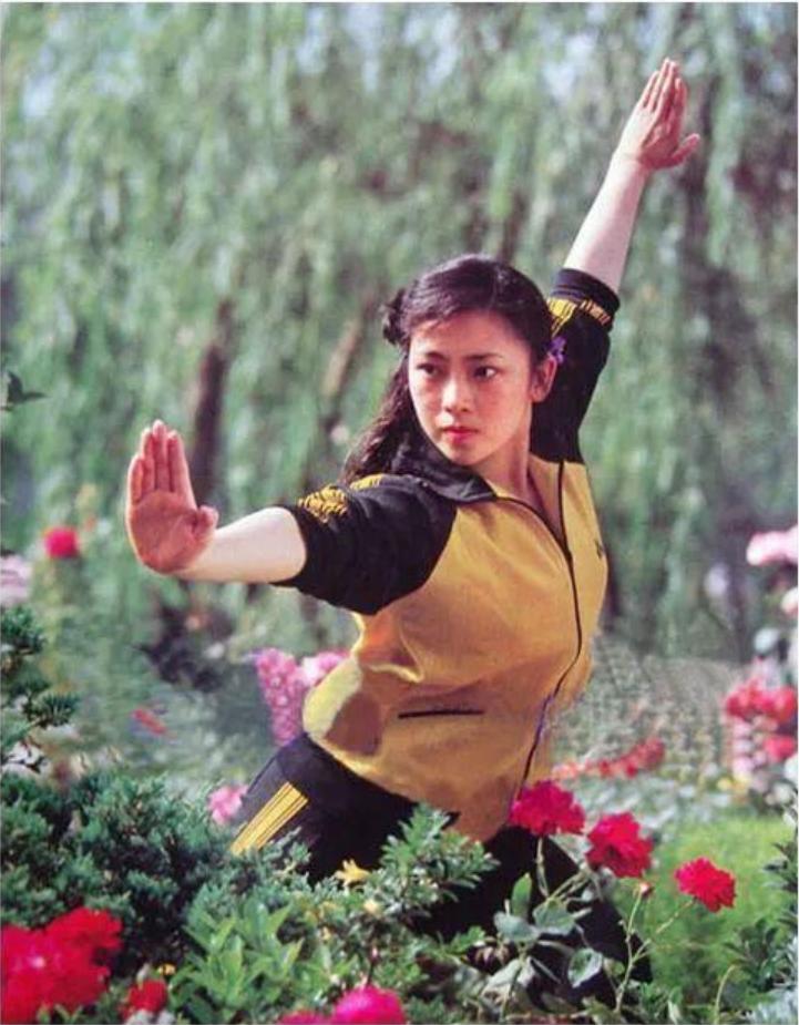 李连杰和黄秋燕的女儿今何在,李连杰谈黄秋燕和利智