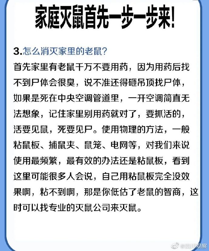 对付家里老鼠的最好办法,什么办法抓家里老鼠最有效