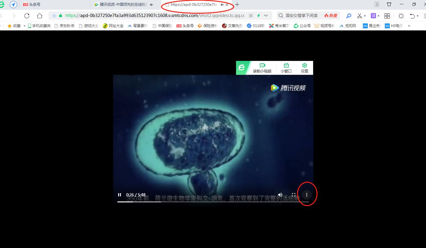 网页中的视频如何*载下**到电脑上
