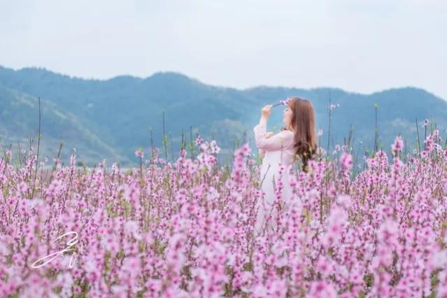 老婆相中一万多的包，我没钱买，她说养不起就让别人养