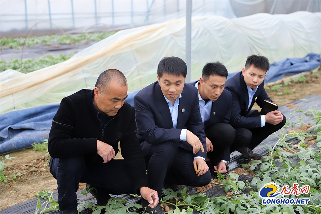 擦亮特色农特产品品牌,擦亮农产品金名片