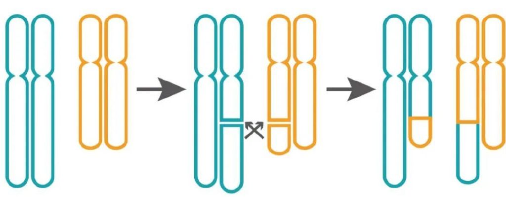 好多高龄孕妇都会流产一次,高龄孕妇容易流产的原因