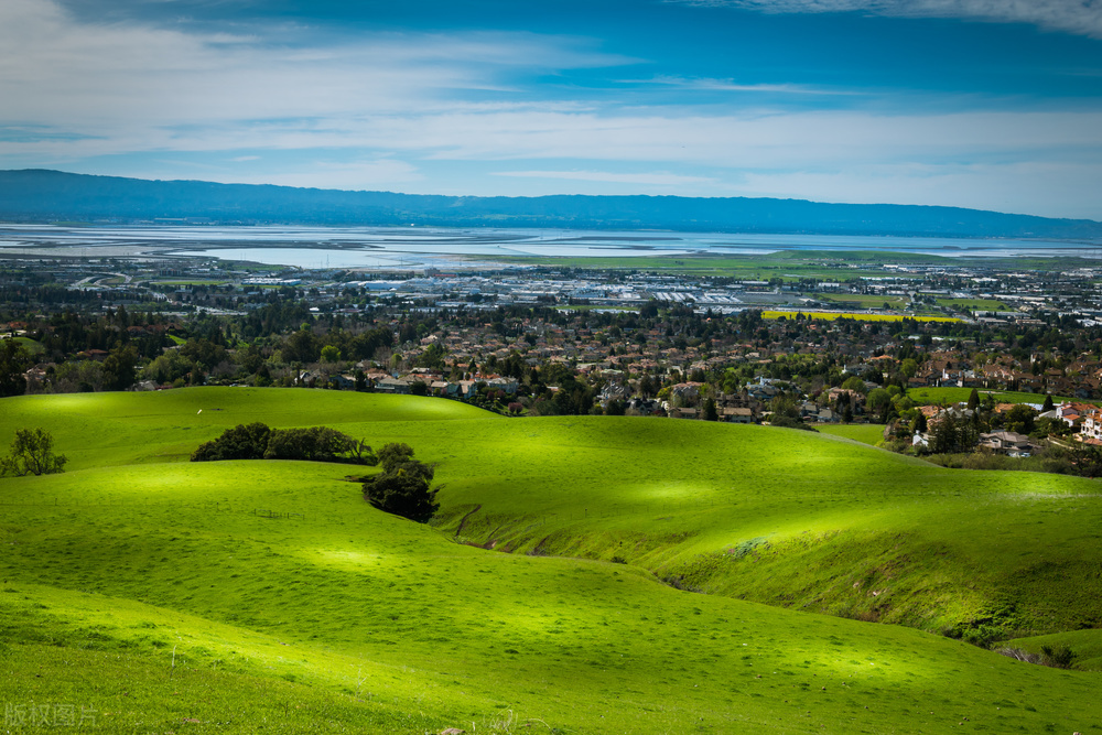 前列腺炎早泄下焦湿热中医治疗,慢性前列腺炎腰骶痛怎么办