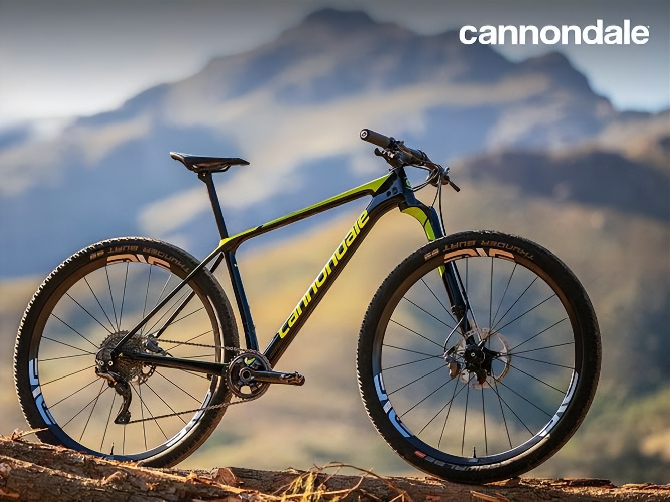 全球自行车十大顶级变速器品牌,双减震儿童山地自行车十大品牌